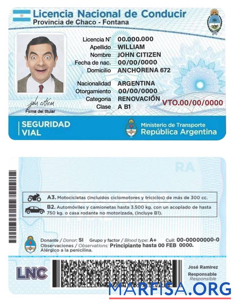 Blank Argentina driving license example